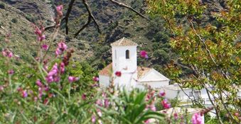 Andalusie rondreis en vakantiehuizen Spanje Natuurlijk Ferreirola -Mariette van Schaik