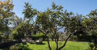 tuin vakantiehuis Andalusië rondreis Spanje Natuurlijk Cuadra