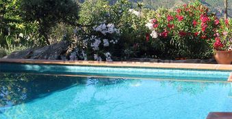 zwembad vakantiehuis Andalusie rondreis Spanje Natuurlijk Studio Viñuela
