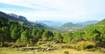 Sierra de Grazalema Andalusie rondreis-spanjenatuurlijk
